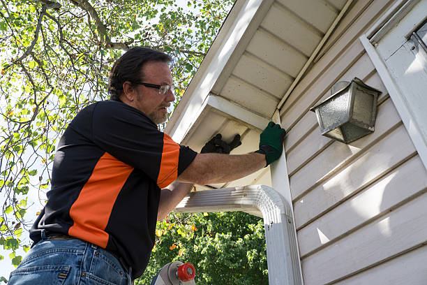 Affordable siding repair and maintenance services in Blue Ridge, VA